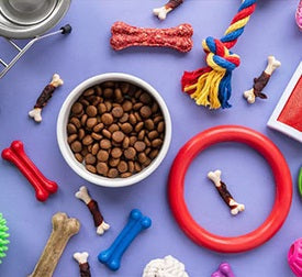 Dog Supplies
