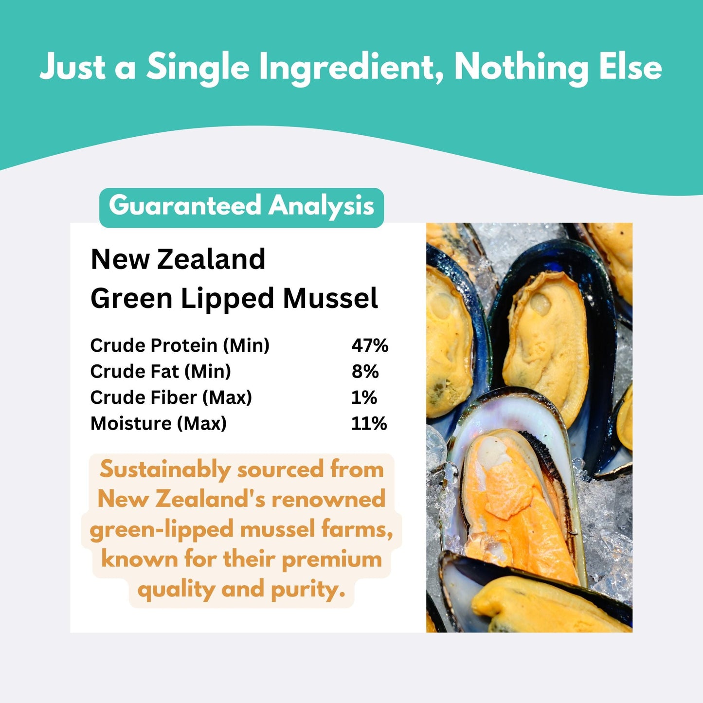 New Zealand Green Lipped Mussel Dog Treats