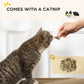 2 in 1 TV Shape Cat Scratching Board House with Catnip, for Indoor Cats in Brown | PawHut